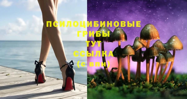 гашиш Бородино