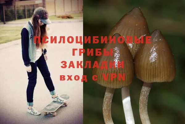 стаф Верхнеуральск