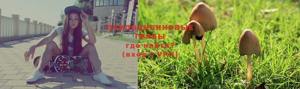 mdpv Бугульма