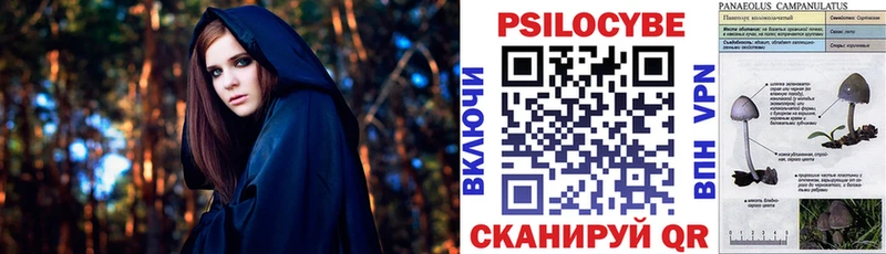 Псилоцибиновые грибы мухоморы  Волчанск 